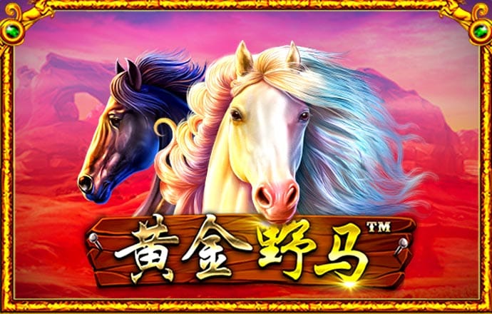 天博tb体育综合